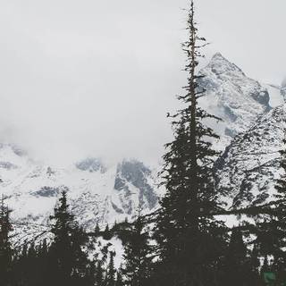 iPhone X winter wallpaper