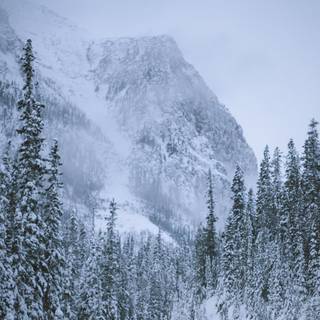 iPhone X winter wallpaper