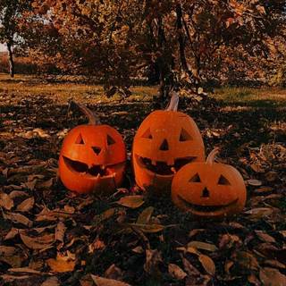 Aesthetic Halloween 2023 wallpaper