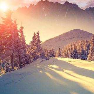 iPhone X winter wallpaper