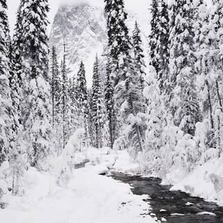 iPhone X winter wallpaper