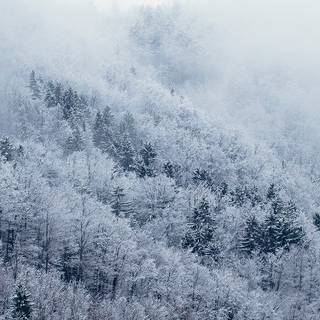 iPhone X winter wallpaper