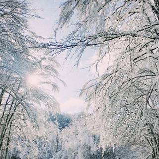 iPhone X winter wallpaper