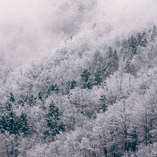 iPhone X winter wallpaper