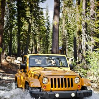 Jeep phone wallpaper