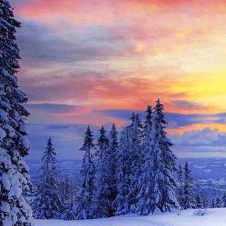 iPhone X winter wallpaper