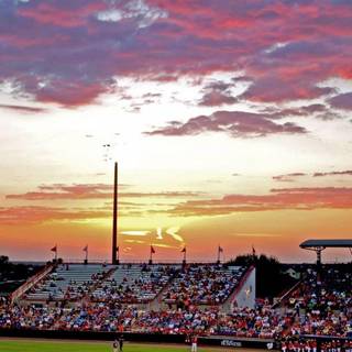 iPhone baseball wallpaper