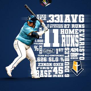 iPhone baseball wallpaper