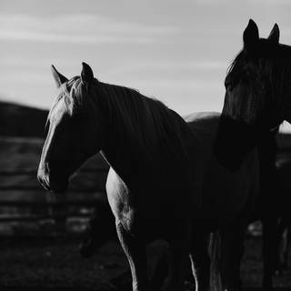 Western iPhone wallpaper