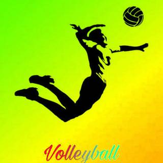 Volleyball iPhone wallpaper