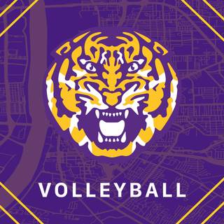 Volleyball iPhone wallpaper