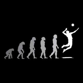 Volleyball iPhone wallpaper