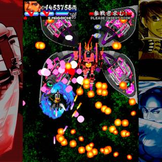 Vasara Collection wallpaper