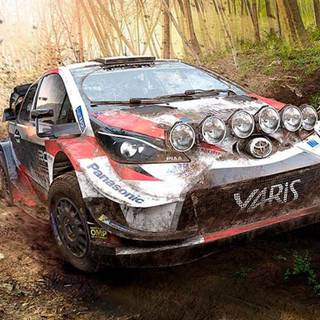 WRC rally cars wallpaper