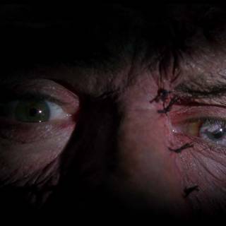 Frankenstein Mary Shelley wallpaper