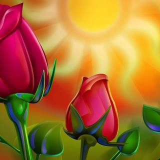 Rose laptop HD wallpaper