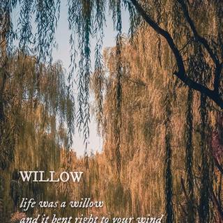 Taylor Swift Willow wallpaper