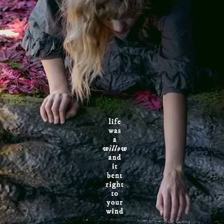 Taylor Swift Willow wallpaper