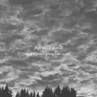 Taylor Swift Willow wallpaper