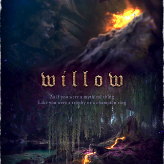 Taylor Swift Willow wallpaper