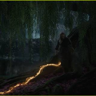 Taylor Swift Willow wallpaper