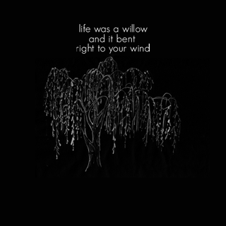 Taylor Swift Willow wallpaper