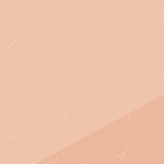 Nude colour wallpaper