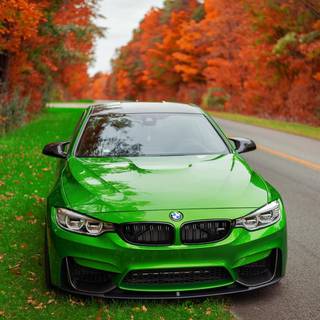 BMW green wallpaper