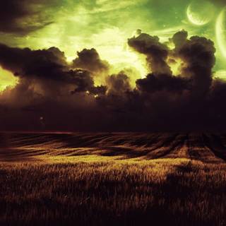 Dark field wallpaper