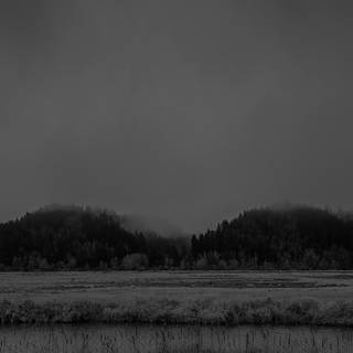 Dark field wallpaper