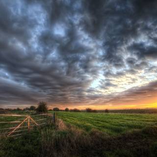 Dark field wallpaper