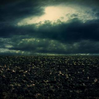 Dark field wallpaper