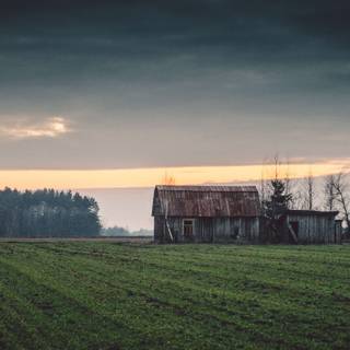 Dark field wallpaper