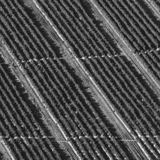 Dark field wallpaper