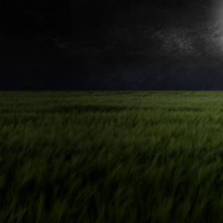 Dark field wallpaper
