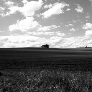 Dark field wallpaper