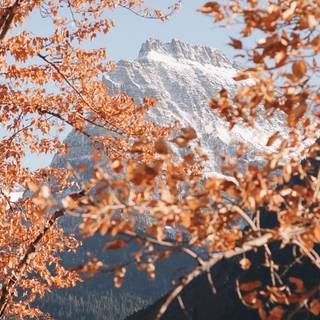 iPhone 14 Tumblr wallpaper