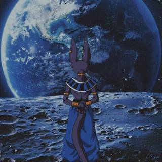 Beerus aesthetic wallpaper