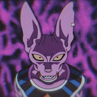 Beerus aesthetic wallpaper
