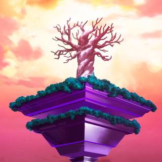 Beerus aesthetic wallpaper