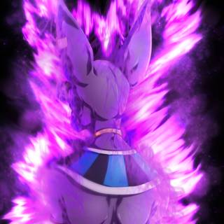 Beerus aesthetic wallpaper