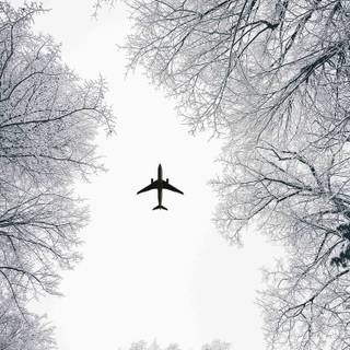 Airplane winter wallpaper