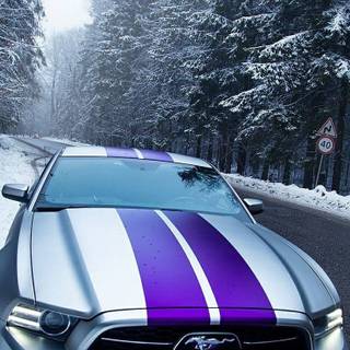 Winter Mustang wallpaper