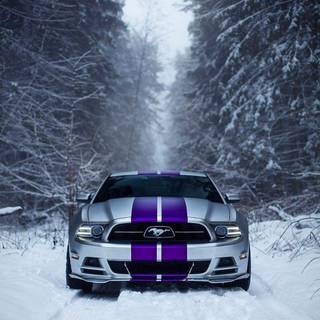 Winter Mustang wallpaper