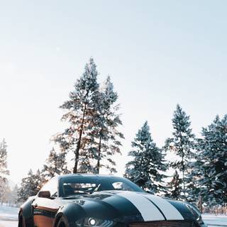 Winter Mustang wallpaper