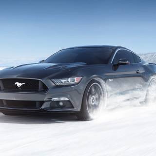 Winter Mustang wallpaper