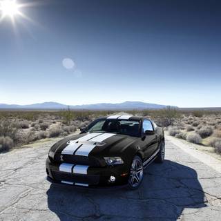 Winter Mustang wallpaper