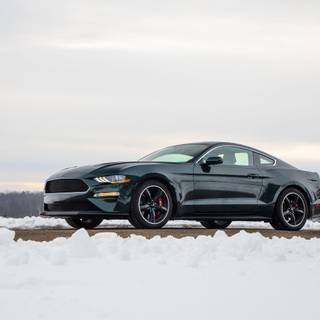 Winter Mustang wallpaper