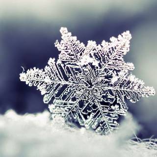 Winter 1280x1024 wallpaper