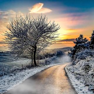 Winter 1280x1024 wallpaper